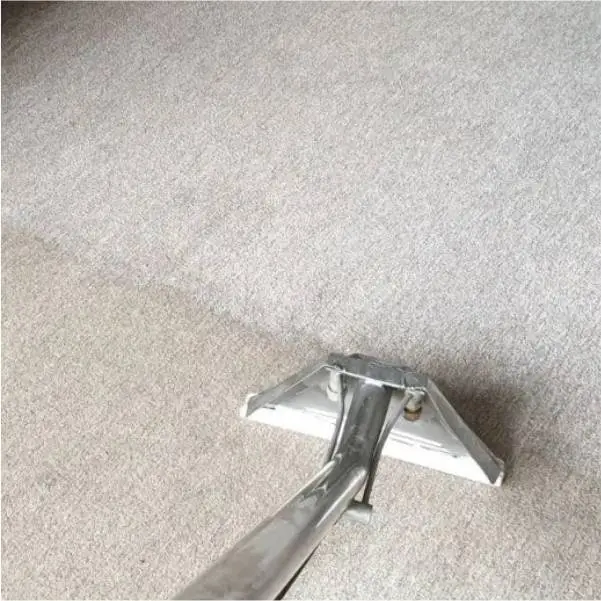 Carpet cleaning with steam and