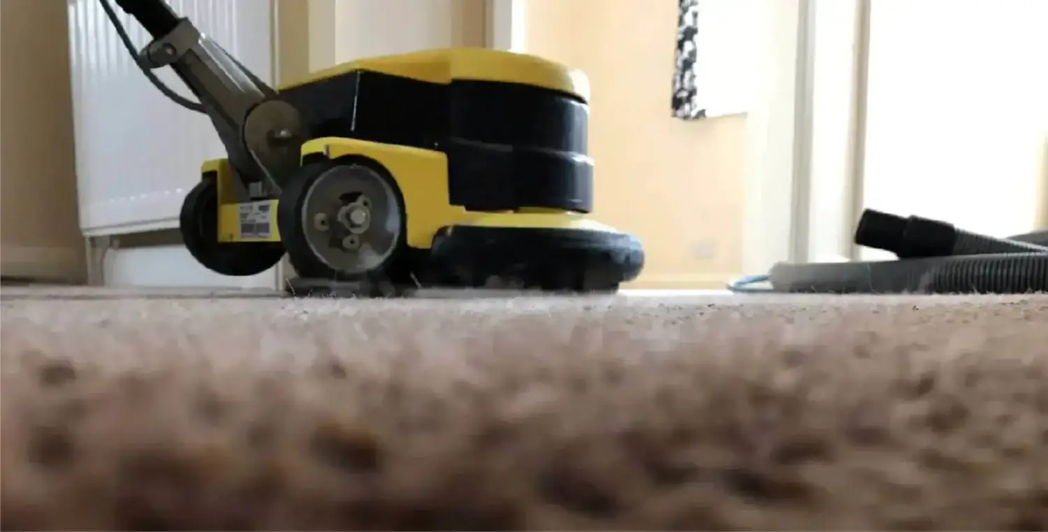 Carpet cleaning with rotary machine