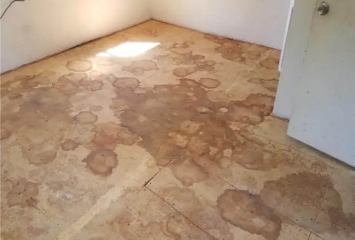 subfloor affected by urine