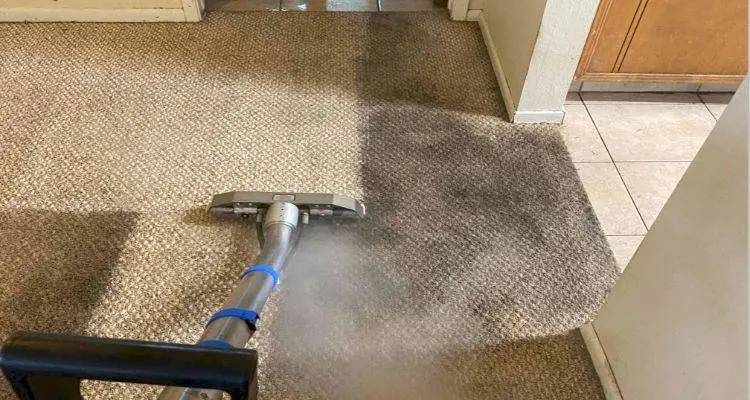 cleaning carpets with steam