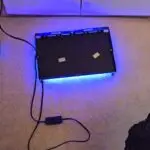 pet stain removal with oxydiser and uv light