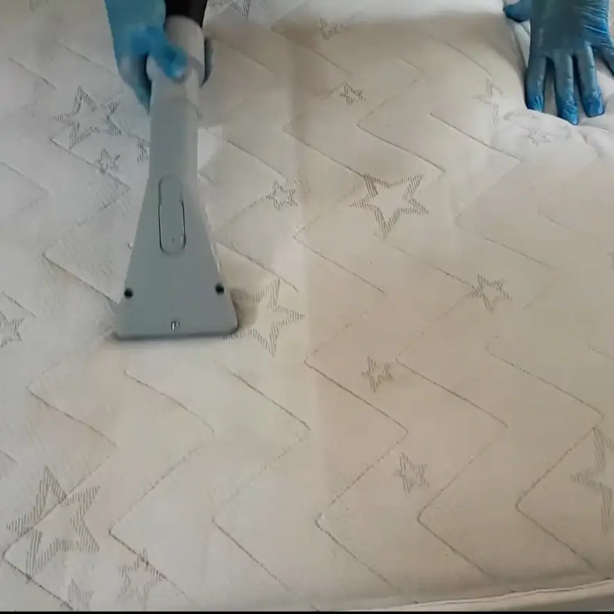 urine cleaning from mattress