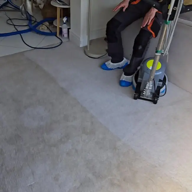 living room carpet after cleaning cleaning in {city}