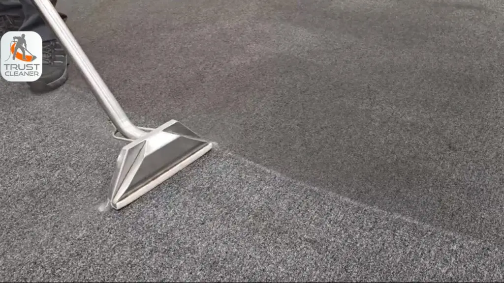 carpet with great result after cleaning service