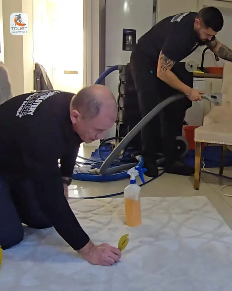 mark and adam during rug cleaning process in {City}