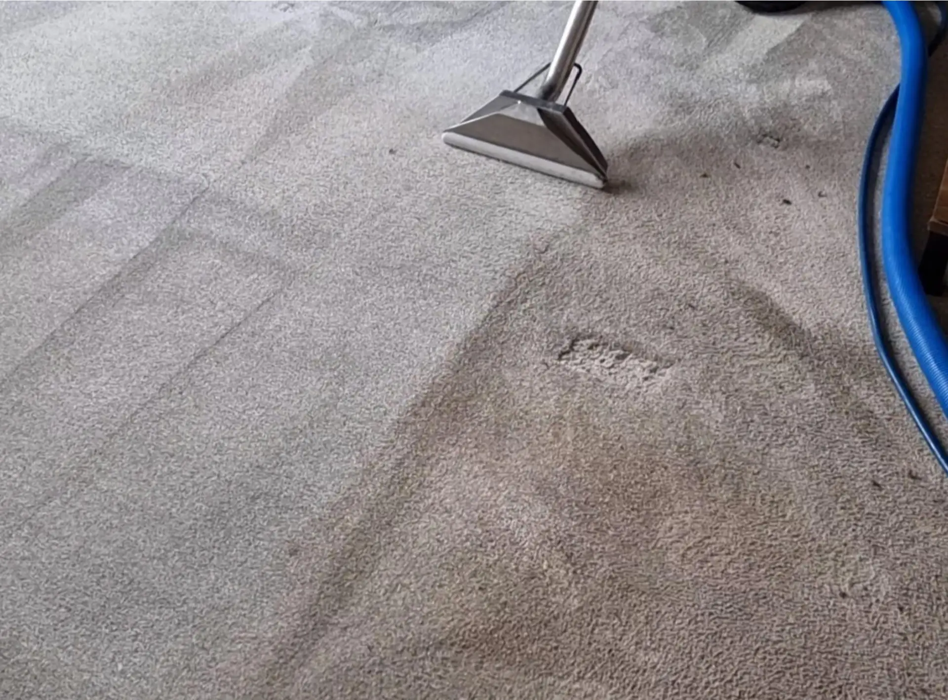 Deep Caarpet Cleaning Service in York