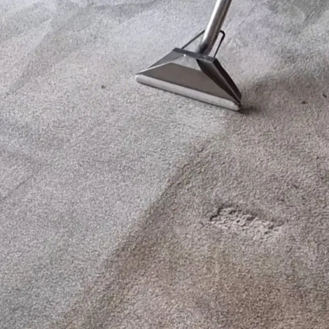 carpet-cleaning-service-Alwoodley