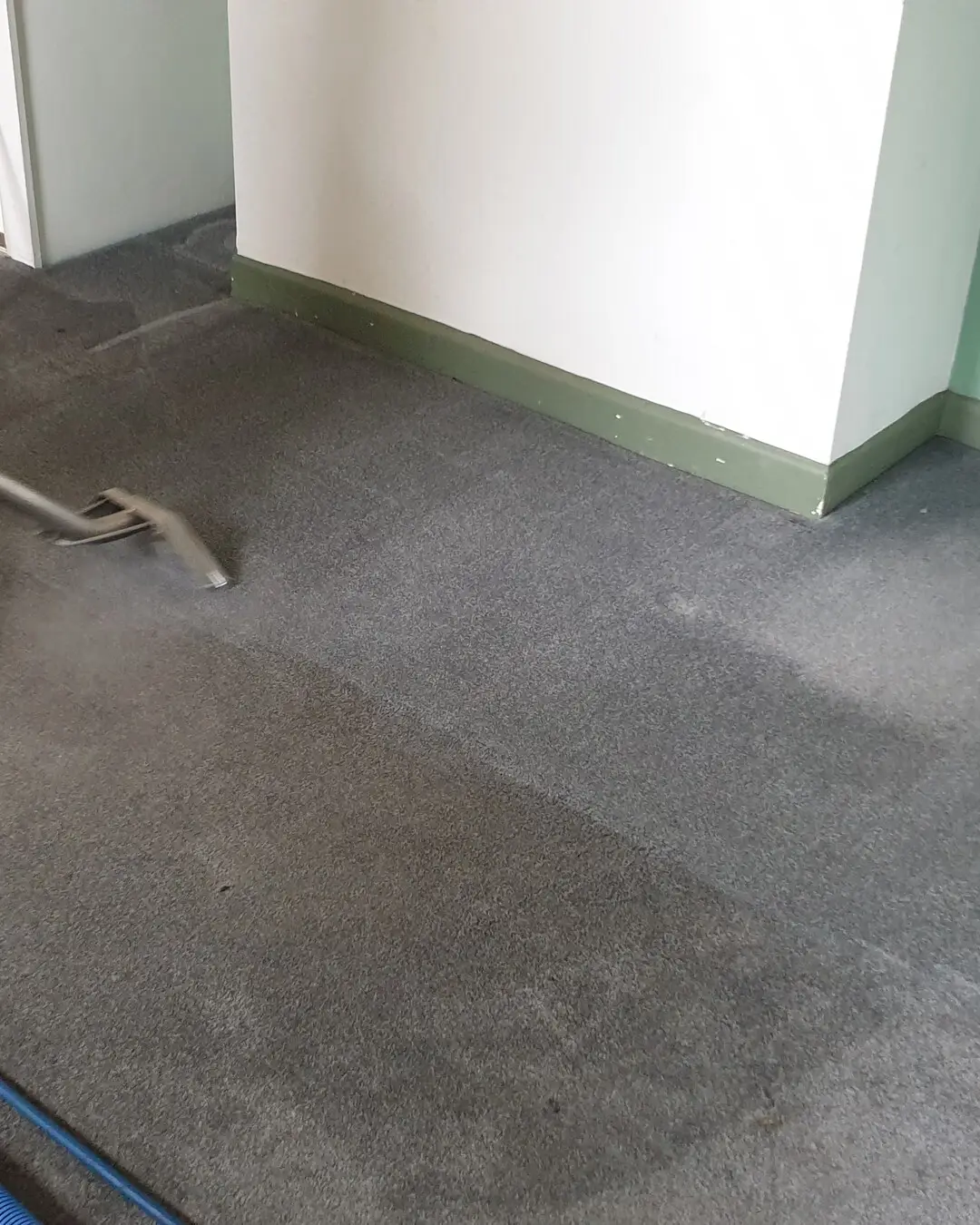 Carpet Cleaning Service in Wakefield