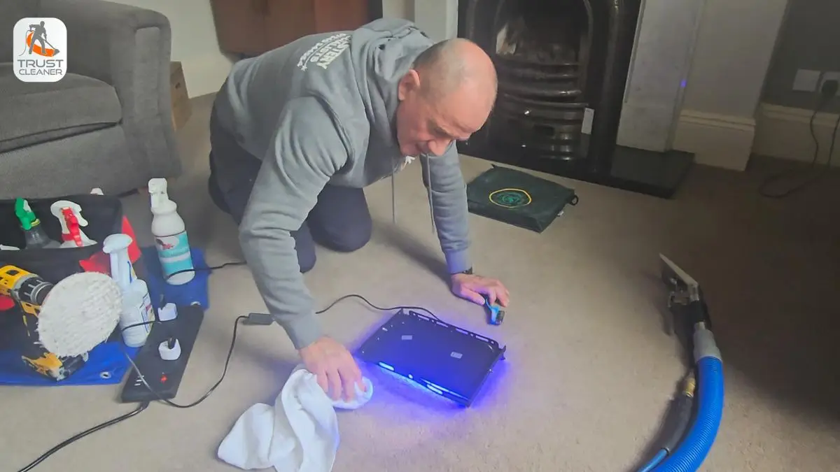 UV light used to find hidden pet urine before treatment